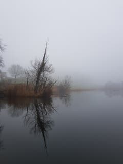 Mystischer 1. Januar-Morgen am Hauptwiler Weiher. (Bild: Reto Schlegel)