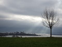Die Lücke in der Nebeldecke sorgt für eine spezielle Beleuchtung des Schlosshügels von Rapperswil. (Bild: Hubert Koch)