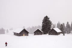 Es schneit in der Schwägalp. (Bild: Franziska Hörler)