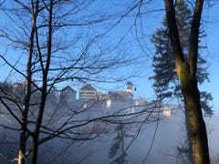 Trogen an der Nebelgrenze. (Bild: Ernst Carniello)