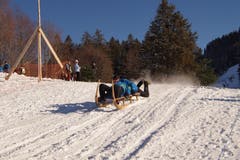 Hornschlittenrennen in Heiligkreuz. (Bild: Kurt Stadelmatt (19. Januar 2019))