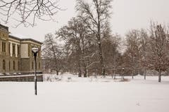 Stille im Stadtpark. (Bild: Franziska Hörler)