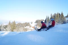 Gesteuert werden die Schlitten mit den Füssen und mit Gewichtsverlagerung. (Bild: Kurt Stadelmatt (19. Januar 2019))