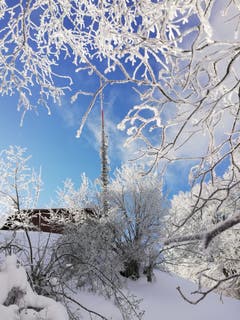 Das Hörnli im Schneezauber. (Bild: Roland Vogt)