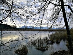 Der gefrorene Steinibühlweiher mit Blick auf den Pilatus. (Bild: Urs Gutfleisch (Sempach, 20. Januar 2019))