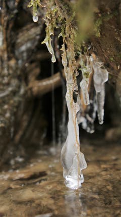 Ein Eisgebilde im Bach. (Bild: Irene Wanner (Alberswil, 20. Januar 2019))