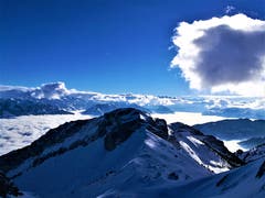 Wunderbare Aussicht auf das Nebelmeer und die Berge. (Bild: Urs Gutfleisch (Pilatus Kulm, 21. Januar 2019))