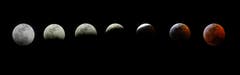 Die verschiedenen Phasen der Mondfinsternis über Los Angeles. (Bild: Ringo H.W. Chiu/AP Photo, 20. Januar 2019))