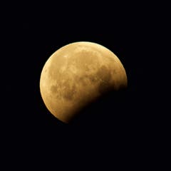 Der Mond mit Erdschatten bei Trogen. (Bild: Hans Aeschlimann (Trogen, 21. Januar 2019))