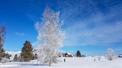 Sonnenschein, Reif und Pulverschnee an den Langlauf-Loipen in Gonten. (Bild: Wolfgang Reisser)