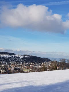 Aussicht von Scheitlinsbüchel Richtung Bodensee. (Bild: Reto Schlegel)