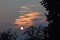Wintersonne kurz vor dem Sonnenuntergang in Tobel. (Bild: Roland Kuttruff)