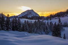 Abendstimmung auf der Schwägalp. (Bild: Antje Hofmann)