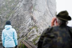 (Bild: Roger Grütter, 14. Juli 2011)