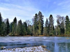 Der zugefrorene Teufenweiher in Neuenkirch. (Bild: Urs Gutfleisch (Neuenkirch, 23. Januar 2019))