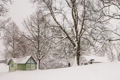 Winterstimmung auf den Drei Weihern...(Bild: Franziska Hörler)