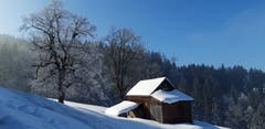 Appenzeller Idyll unter der Wissegg, Trogen. (Bild: Klaus Businger)