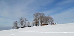Winteridyll oberhalb von Wissegg, Trogen. (Bild: Klaus Businger)