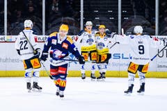 Zug feiert das Tor zum 0:3 durch Topscorer Lino Martschini. (Bild: Vedi Galijas/Freshfocus (Zürich, 25. Januar 2019))