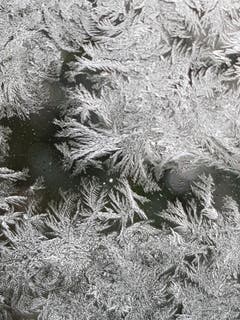 Eisblumen. (Bild: Reto Schlegel)