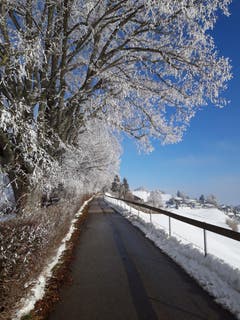 Winterstimmung dank Kälte und Nebel auf dem Höhenweg in Herisau. (Bild: Werner Lieberherr)