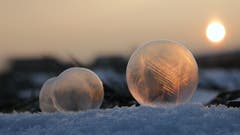 Gefrorene Seifenblasen im Licht der aufgehenden Sonne. (Bild: Irene Wanner, 25. Januar 2019)
