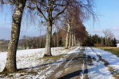 Zwischen Winter und Frühling, auf einer Nebenstrasse nach Wetzwil. (Bild: Josef Habermacher (Schlierbach, 26. Januar 2019))