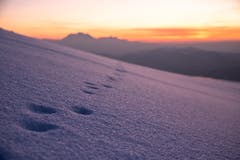 Abendrot auf dem Zugerberg (Bild: Daniel Hegglin (Zugerberg, 25. Januar 2019))
