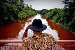 Ein Mann beobachtet den Fluss Paraopeda. (Bild: EPA/Antonio Lacerda)
