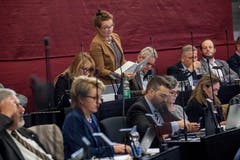 Michèle Graber (GLP), Udligenswil: «Jetzt habe ich wieder den Faden verloren.» GLP-Fraktionschefin Michèle Graber (Udligenswil) verzettelte sich bei der Eintretensdebatte zum Steuergesetz sowie zur Aufgaben- und Finanzreform ab und zu. Damit war sie nicht allein – aber die Einzige, die ihre Versprecher einräumte. (Bild: Nadia Schärli)