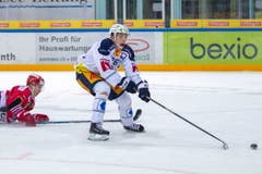 EV Zug Stürmer Reto Suri legt sich den Puck zu weit vor während dem Eishockey-Meisterschaftsspiel zwischen den SC Rapperswil-Jona Lakers und dem EV Zug in Rapperswil. (Bild: KEYSTONE/Patrick B. Kraemer)