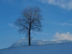 Was für eine wunderschöne, winterliche Stimmung! (Bild: Margrith Imhof-Röthlin (Küssnacht, 25. Januar 2019))