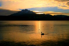 Abendstimmung über dem Vierwaldstättersee. (Bild: Walter Buholzer (Luzern, 3. Januar 2019))