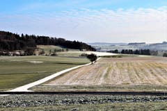 Weisse Nebenstrasse in der Landschaft, im Hintergrund der Bogetenwald. (Bild: Josef Habermacher (Rickenbach, 3. Januar 2019))