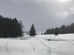 Winterlandschaft aufgenommen Richtung Hochalp. (Bild: Renate Wachsmuth)