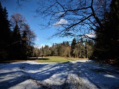 Ein Hauch von Frühling macht sich hier im Naherholungsgebiet Schwerziried bereits in Meggen bereits sichtbar! (Bild: Margrith Imhof-Röthlin (30. Januar 2019))