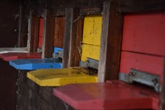 Im Winter ist vor den farbenfrohen Bienenkästen wenig los.
