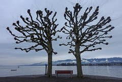 "Zäsur des Winters"! Alles bleibt stehen! Aufgenommen in Arbon. (Bild: Walter Schmidt)