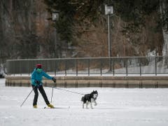 Sport trotz minus 34 Grad Celsius: Eine Frau ist in Minneapolis mit ihrem Hund unterwegs. (Bild: KEYSTONE/EPA/CRAIG LASSIG)