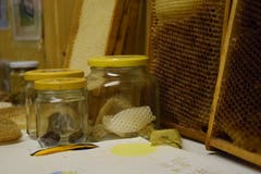 Kinder sind besonders fasziniert: Lenz zeigt seinen Bienenstand auch Schulklassen.