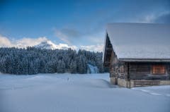 Frische Pulverlandschaft auf Untertrübsee mit Blick auf den Hahnen. (Bild: Caroline Pirskanen (Untertrübsee, 29. Januar 2019))