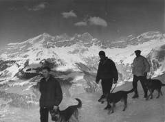 Lawinenhundeführer nehmen auf Trübsee im Winter 1960 an einem Kurs teil. (Bild: Mondo Annoni/Fotodok, Staatsarchiv Luzern PA 1374/518.1)