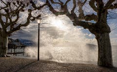 Stürmisches Wetter am Zugersee. (Bild: Daniel Hegglin (Zug, 30. Januar 2019))
