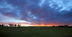 Abendstimmung bei Kesswil. (Bild: Barbara Weber)