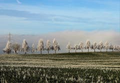 Blick übers Suhrental, vom Butternberg aus gesehen. (Bild: Josef Habermacher (Rickenbach, 4. Januar 2019))