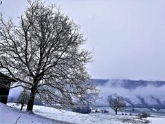 Schnee hat es jetzt auch in Malters. (Bild: Urs Gutfleisch (Malters, 5. Januar 2019))