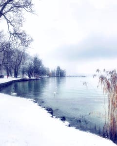 Die Sinnlichkeit von Schnee. (Bild: Andrea Decker (Luzern, 5. Januar 2019))