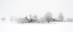 Schnee im Andwiler Moos. (Bild: Wolfgang Reisser)