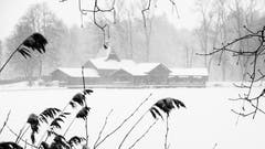 Ruhe kehrt ein. Die Natur ruht, wie hier auf Dreilinden in St. Gallen. (Bild: Franz Häusler)