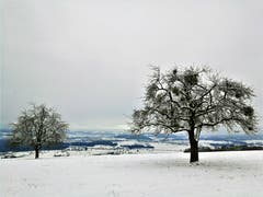 Wunderbare Winterlandschaft (Bild: Urs Gutfleisch (Geuensee, 6. Januar 2019))